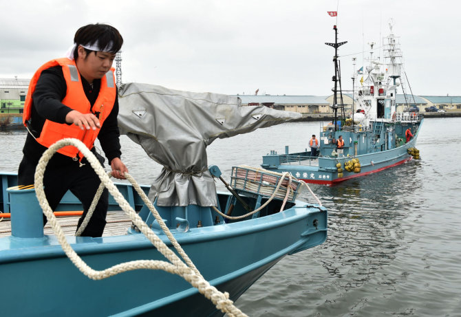 AFP/„Scanpix“ nuotr./Japonų žvejai pirmadienį pirmą kartą per daugiau nei tris dešimtmečius išplaukė į komercines banginių medžiokles