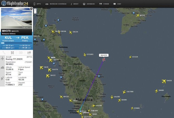 „Malaysia Airlines“ lėktuvo nelaimės schema