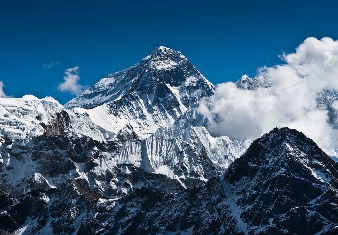 Shutterstock.com nuotr. / Everestas