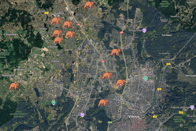„Google maps“ nuotr./Gatvės, kuriose pastebėta meška