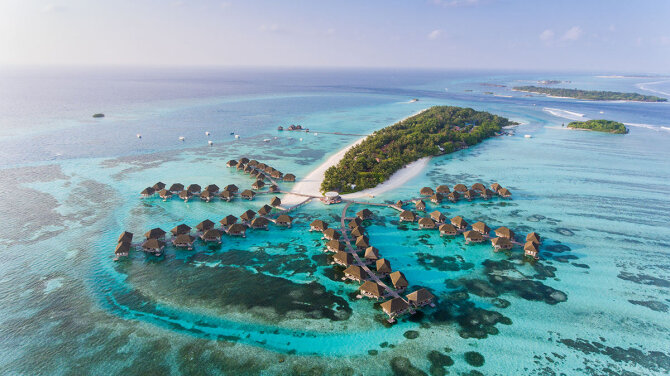 Shutterstock nuotr./Maldyvai