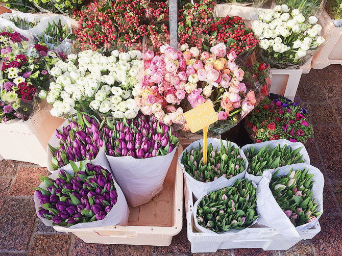 Shutterstock.com nuotr./Paryžiaus gėlių turgus, Prancūzija