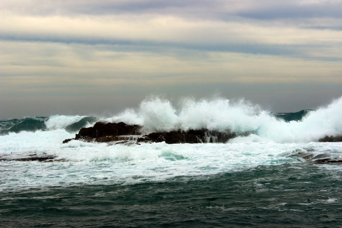 M.Bertulio nuotr./Pakrantės bangos ir vėjas
