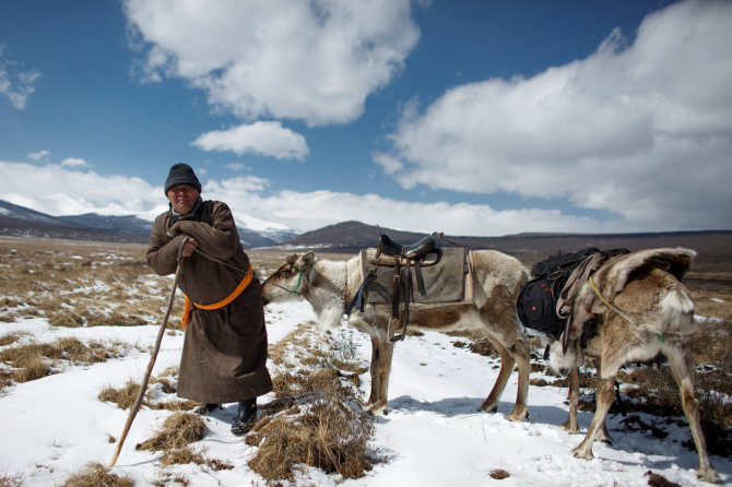 „Reuters“/„Scanpix“ nuotr./Mongolijos elnių augintojai