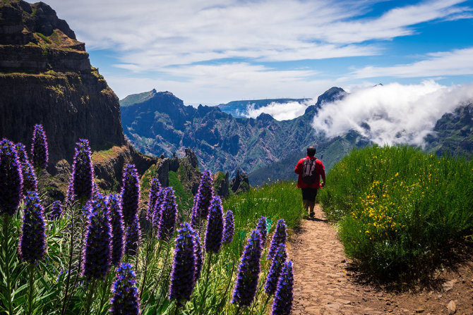 Shutterstock.com nuotr./Ruivo kalnas, Madeira