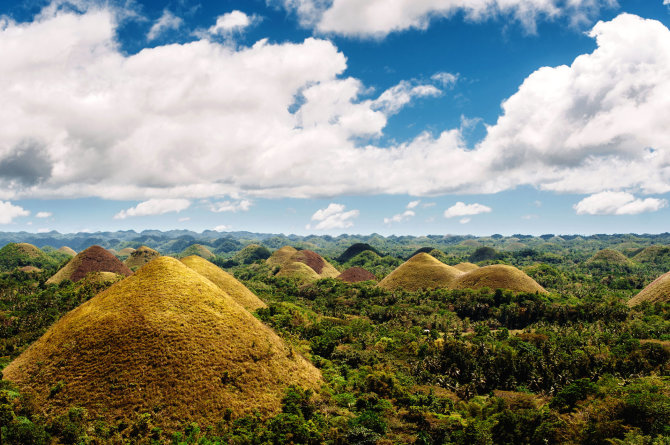 Shutterstock nuotr./Šokoladinės kalvos, Boholio sala, Filipinai