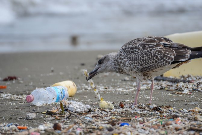 123RF.com nuotr./Plastikas papūdimyje