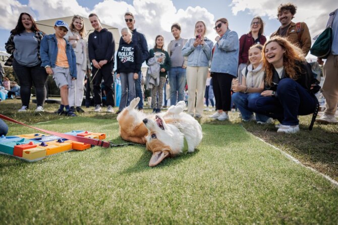 „Corgi Race Vilnius“