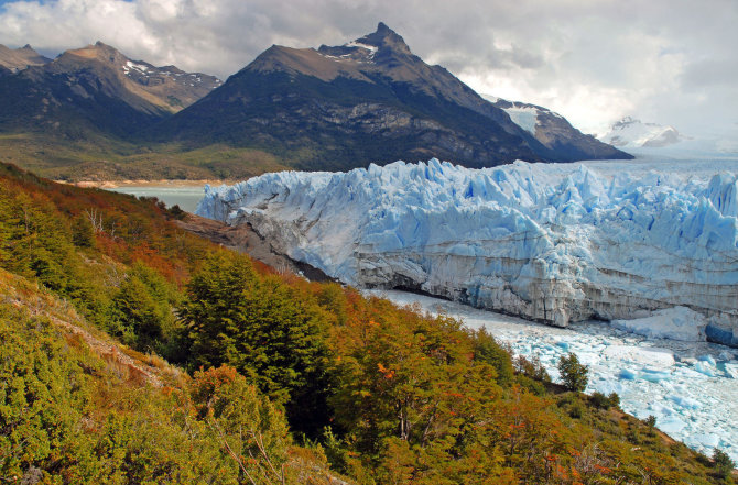 123rf.com nuotr./Argentina, ledynas Patagonijoje