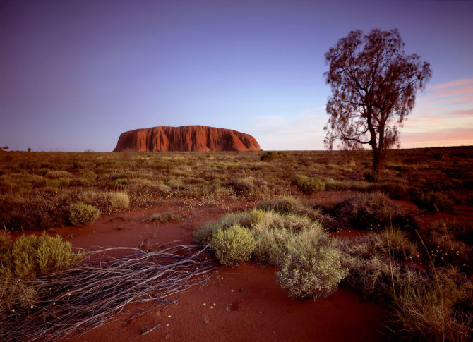 Vida Press nuotr./Uluru uola Australijoje 