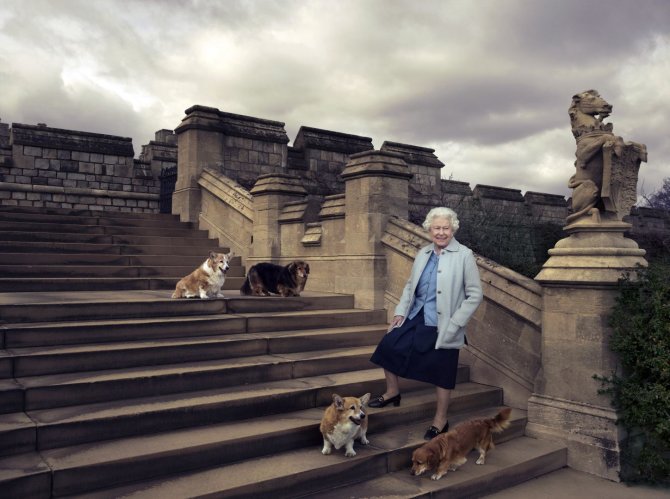 Vida Press nuotr./Karalienė Elizabeth II su dviem korgiais ir dviem dorgiais.