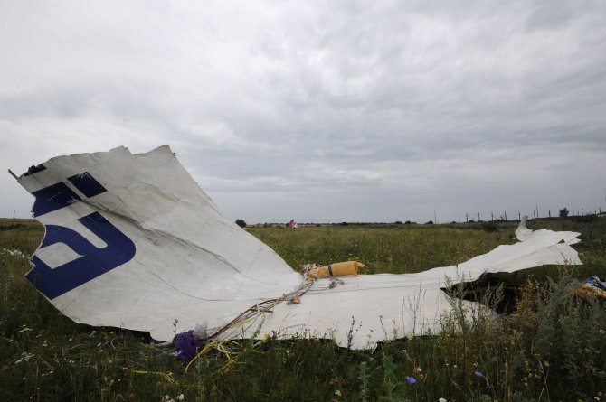 AFP/„Scanpix“ nuotr./Malaizijos lėktuvo „Boeing 777“ katastrofos vietoje