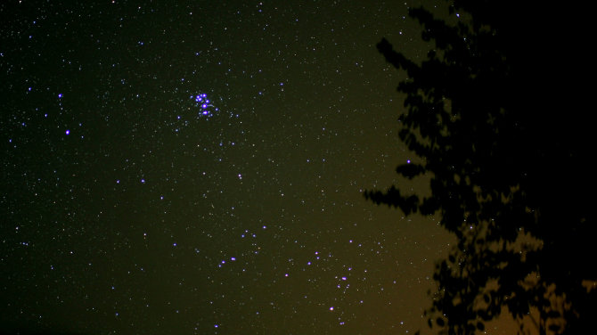 Lietuvos etnokosmologijos muziejaus arch. nuotr./Nr.12. Plika akis Plejadu zvaigzdziu pulkelyje isskiria septynis ryskesnius sviesulius_Astrophoto.com