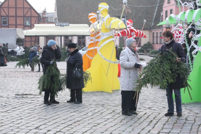 Aurelijos Kripaitės/15min.lt nuotr./Klaipėdiečiai ketvirtadienion popietę išsidalino apie tūkstantį pušies ir eglės šakų. 