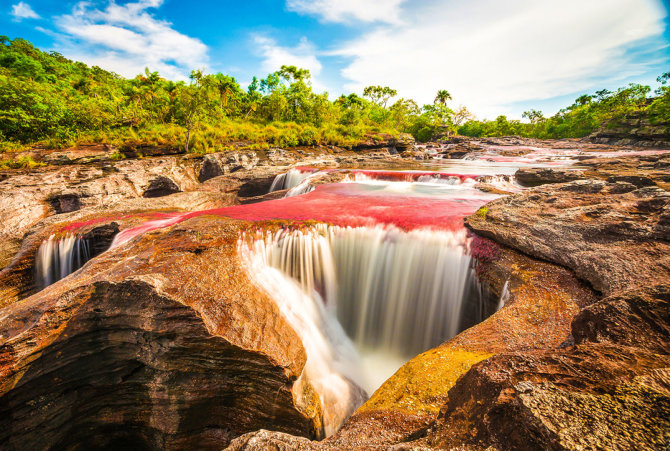 Shutterstock nuotr./„Cano Crystales“ krioklys