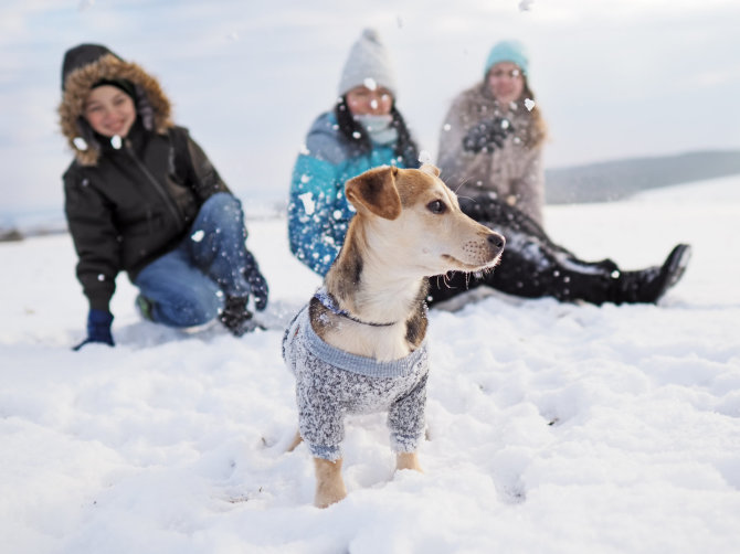 123RF.com nuotr./Vaikai su šuniuku lauke džiaugiasi žiema