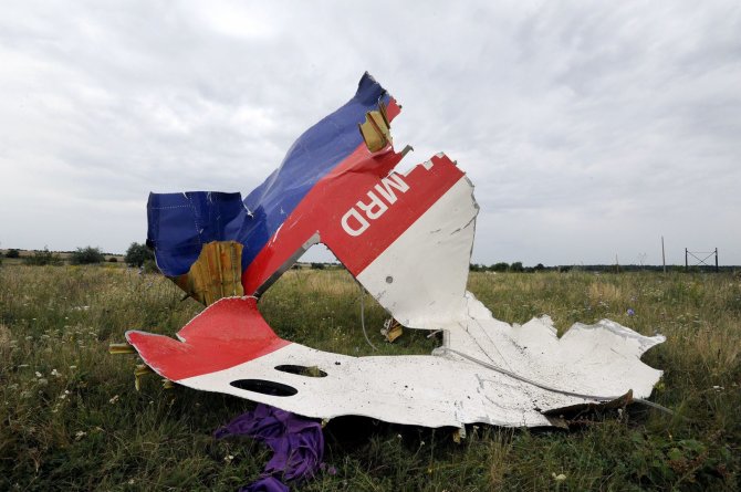 „Scanpix“/„Anadolu Ajansi“ nuotr./Numušto „Malaysia Airlines“ lėktuvo nuolaužos Donecke, Ukrainoje.