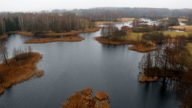 Indrės Bungardaitės/15min nuotr./Kirkilų apžvalgos bokštas ir vaizdas nuo jo