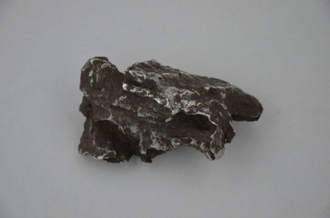 Sichote-Alinio geležinio meteorito skeveldra, kurią savo rankose galima palaikyti Lietuvos etnokosmologijos muziejuje. Šaltinis: Lietuvos etnokosmologijos muziejaus fotoarchyvas.