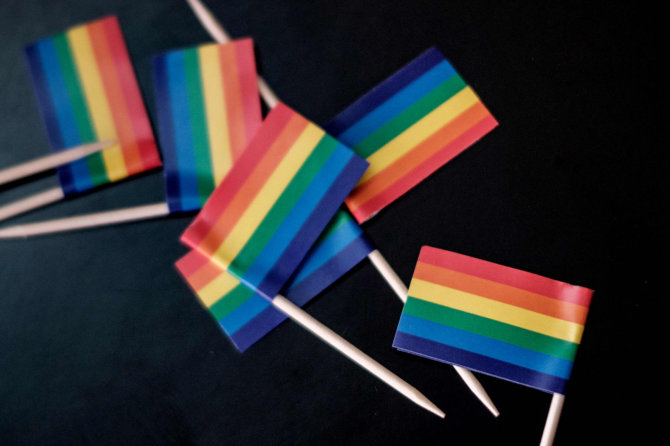 AFP/„Scanpix“ nuotr./LGBT vėliava