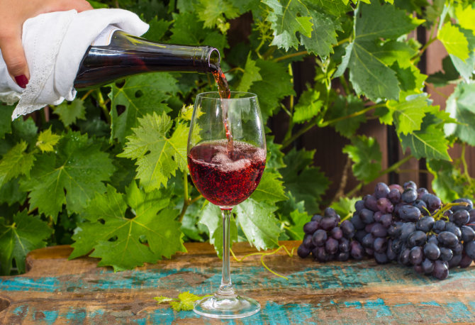 Vida Press nuotr./Pinot Noir vynuogės ir vynas