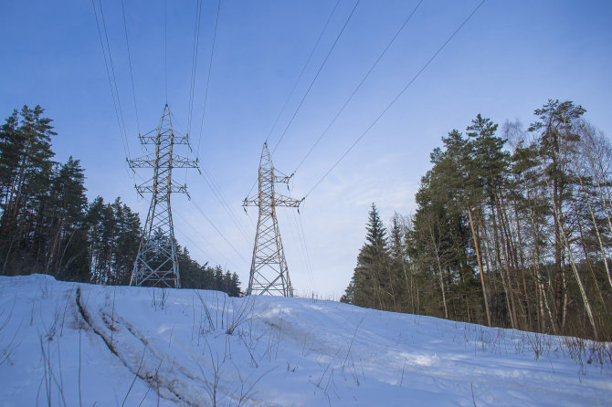 Roko Lukoševičiaus / 15min nuotr./Elektros laidai