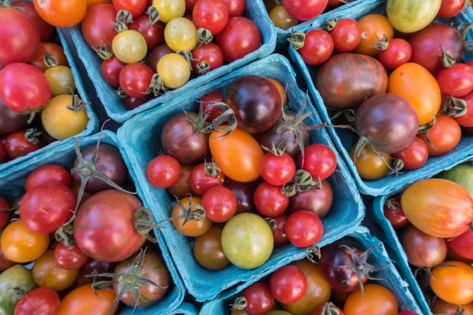 Vida Press nuotr./Įvairių spalvų pomidorai