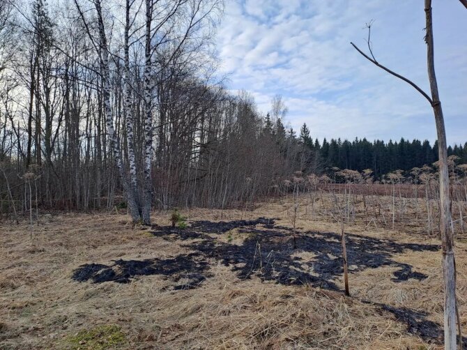 Latvijos kariuomenės nuotr./Latvijoje nukritęs dronas / Ankstesnio incidento nuotr.
