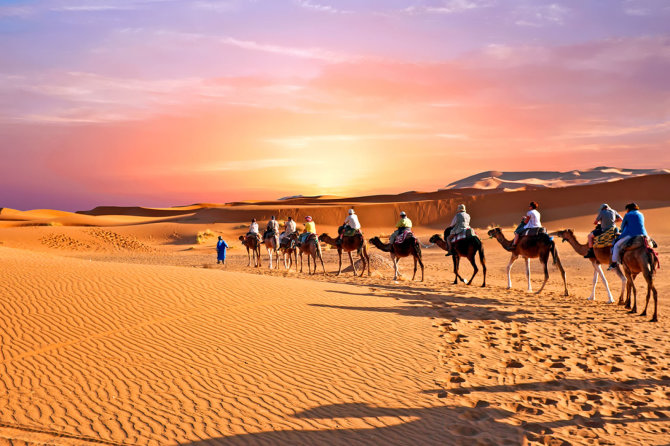 Shutterstock nuotr./Arabijos dykuma