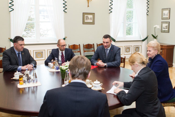 BFL/Vyginto Skaraičio nuotr./Prezidentė Dalia Grybauskaitė susitiko su Ukrainos opozicijos lyderiais