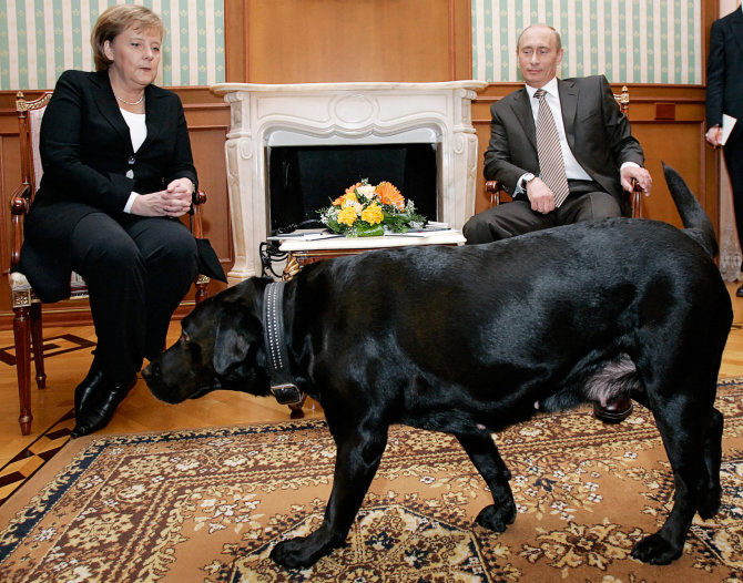 AFP/„Scanpix“ nuotr./Angela Merkel, Vladimiras Putinas ir jo šuo