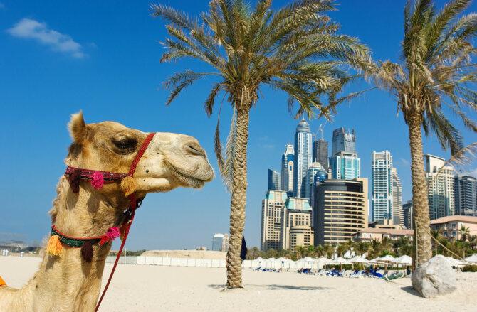 123RF.com nuotr. / Dubajuje, JAE 