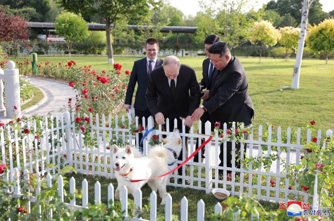 „Reuters“/„Scanpix“ nuotr./Vladimiras Putinas, Kim Jong Unas ir pungsanų veislės šunys