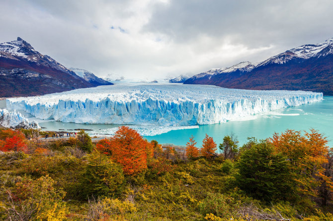 Shutterstock nuotr./Perito Moreno ledynas