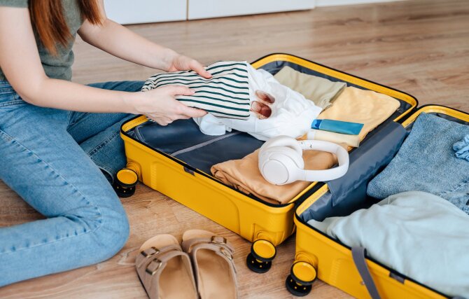Shutterstock nuotr. / Blakės gali įsliūkinti ir į lagaminą