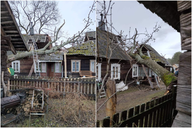 Liudininko nuotr./Grabijolų kaime nuvirtęs medis apgriovė namą