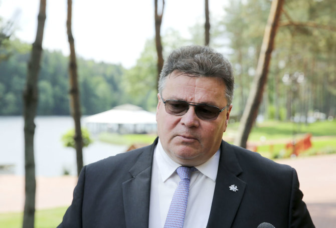 Valdo Kopūsto / 15min nuotr./Linas Linkevičius