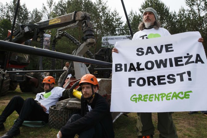 AFP/„Scanpix“ nuotr./Lenkijos aktyvistai protestuoja prieš didelio masto kirtimus Belovežo girioje