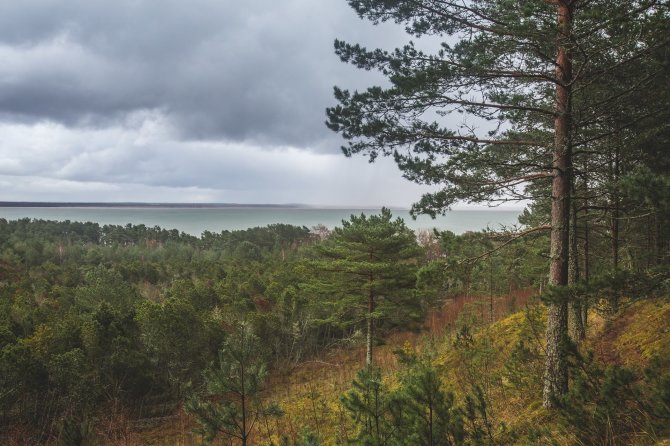 Kuršių nerijos NP nuotr./Kuršių nerijos nacionalinis parkas