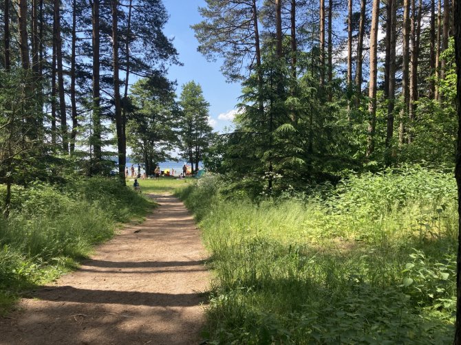 Aurelijos Jašinskienės / 15min.lt nuotr./Vietoje, kur anksčiau stovėjo tualetas, tik žolės styro.