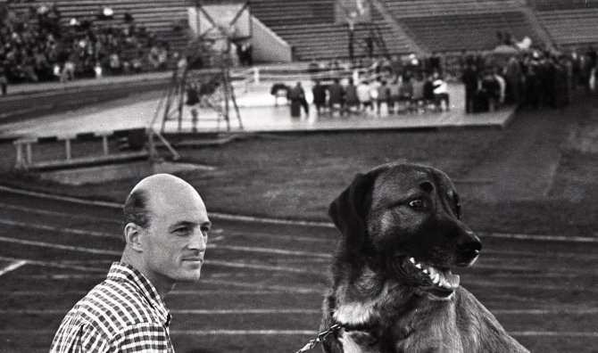 pliadisfoto.com archyvo nuotr./Retro nuotrauka – boksas „Žalgirio“ stadione