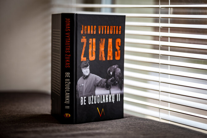Vidmanto Balkūno / 15min nuotr./Jonas Vytautas Žukas "Be užuolankų II"