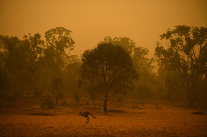 „Reuters“/„Scanpix“ nuotr./Gaisras Australijoje