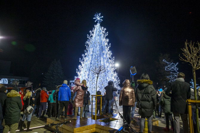 Roko Lukoševičiaus / 15min nuotr./Panevėžys pristatė savo Kalėdų eglę