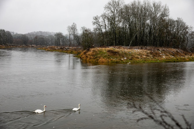 Juliaus Kalinsko / 15min nuotr./Lengva sniego paklotė apdengė Neries regioninį parką