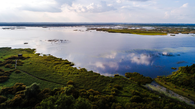 Artūro Lavrėnovo nuotr/Žuvinto biosferos rezervatas