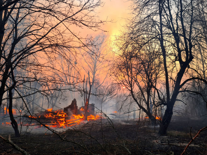 „Reuters“/„Scanpix“ nuotr./Miško gaisras Černobylio elektrinės zonoje.