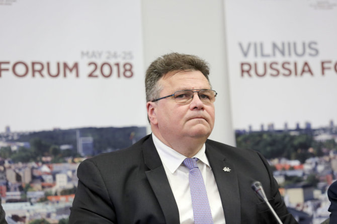 Valdo Kopūsto / 15min nuotr./Linas Linkevičius