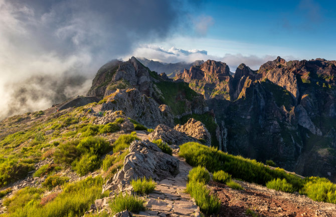 Shutterstock nuotr. / Madeira