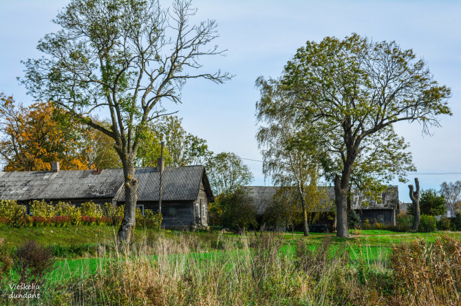 „Vieškeliu dundant“ nuotr. / Žybartų kaimas (Radviliškio r.)